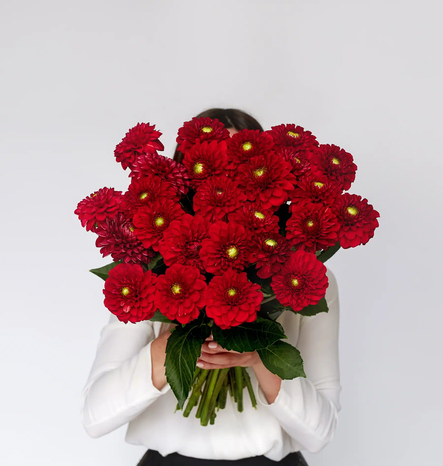 bouquet de dahlias rouges