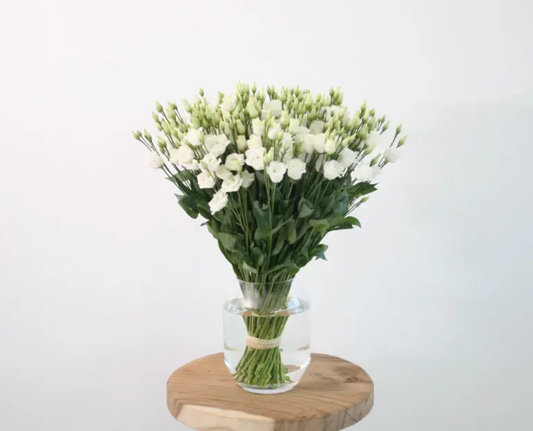 bouquet de lisianthus blanc