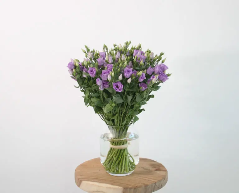 bouquet de lisianthus violet