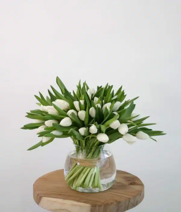 bouquet de tulipes blanches
