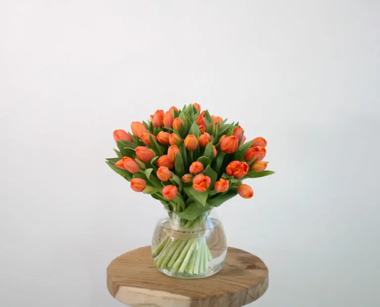 bouquet de tulipes orange