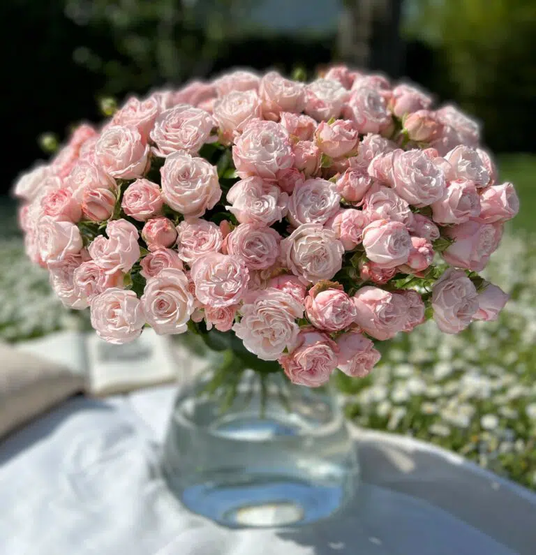bouquet de roses branchues rose