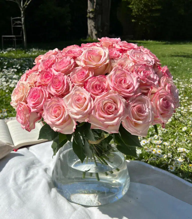 bouquet de roses rose