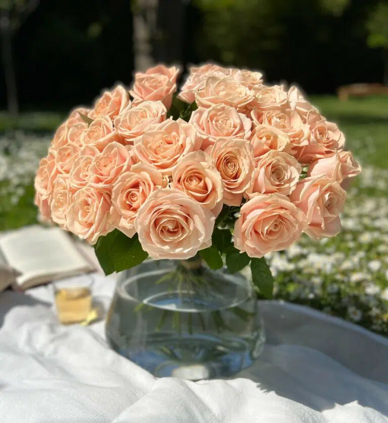 bouquet de roses saumon