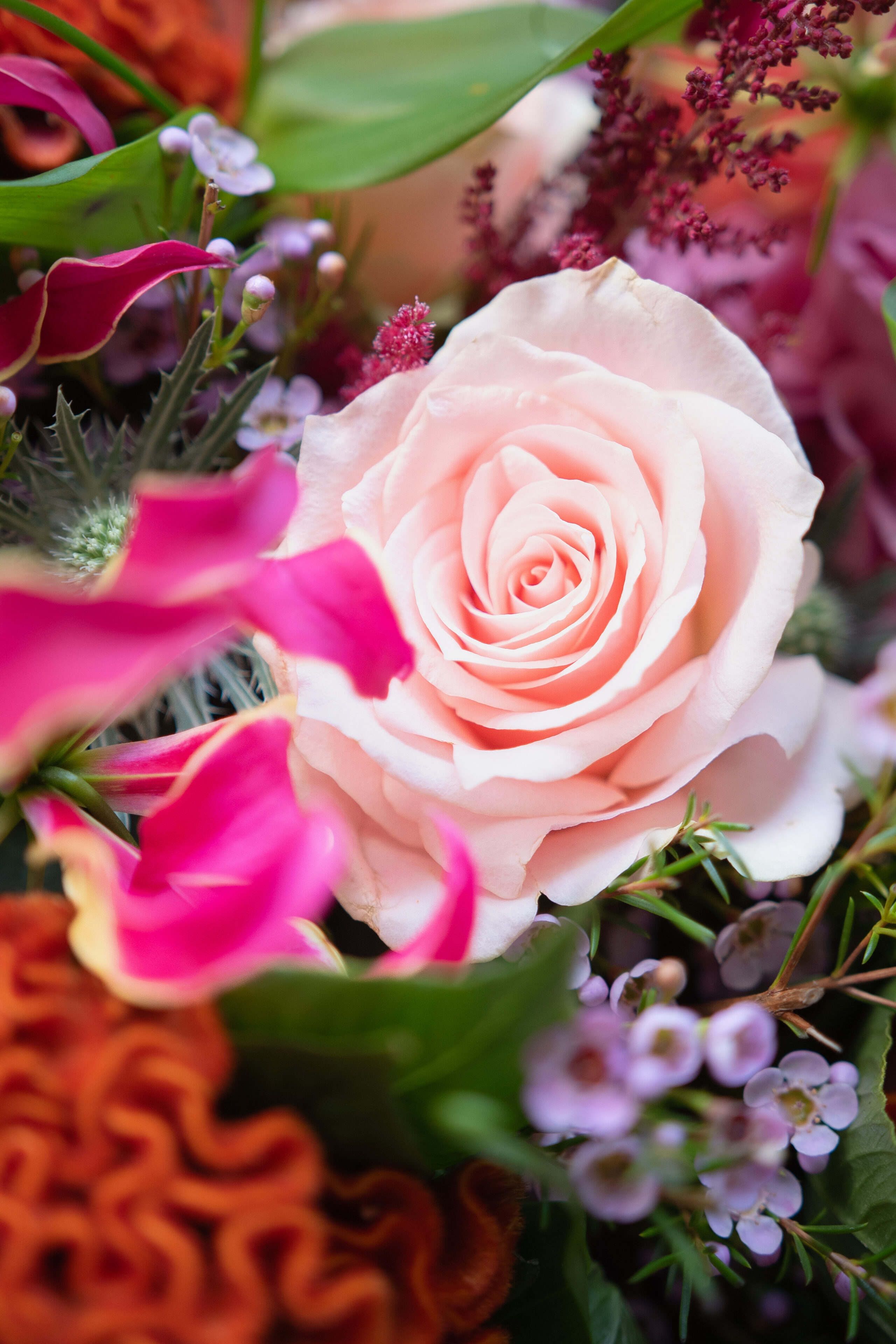 le pétillant bouquet orange rose célosie gloriosa rose coloré